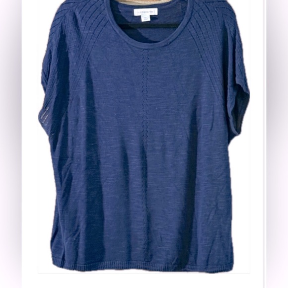 Liz Claiborne Blue Boxy Relaxed Sweater - Picture 1 of 3